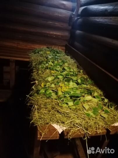 Парение в бане, Женские бани