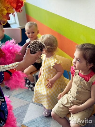 Животные на праздник,цирковой спектакль