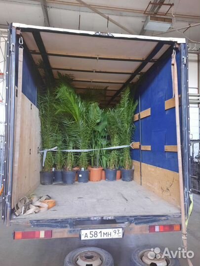 Грузоперевозки Газель 6.5 метров