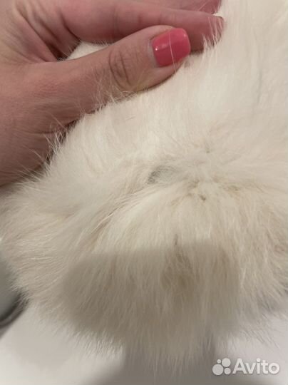 Шапка nortika песец