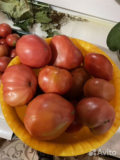 Помидоры
