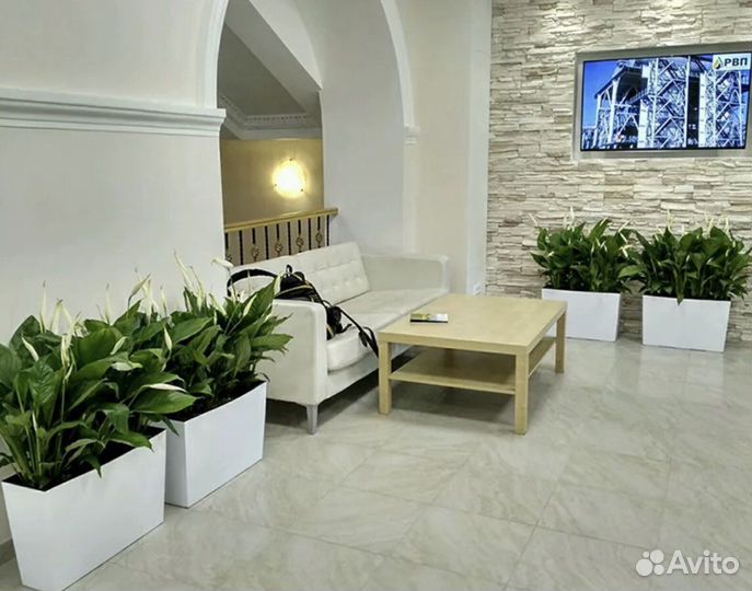 Озеленение офисов