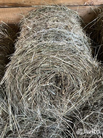 Продам сено в тюках