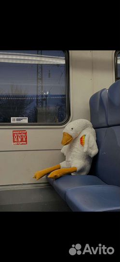 Закупаем пух-перо подушки перины