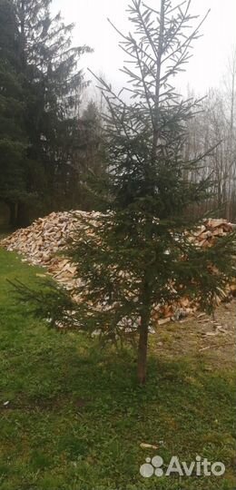 Дрова в укладку