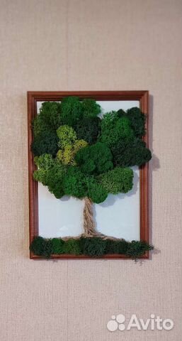 Картина из стабилизированного мха. 