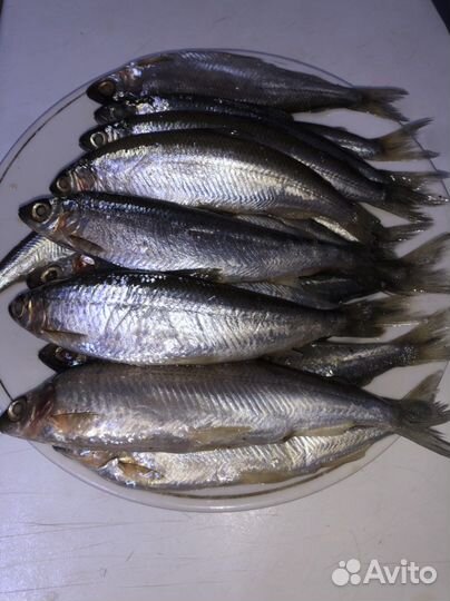 Тугунок (сосвинская сельдь) слабосолёный