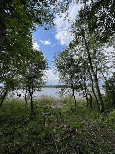 Участок 12,5 сот. (СНТ, ДНП)