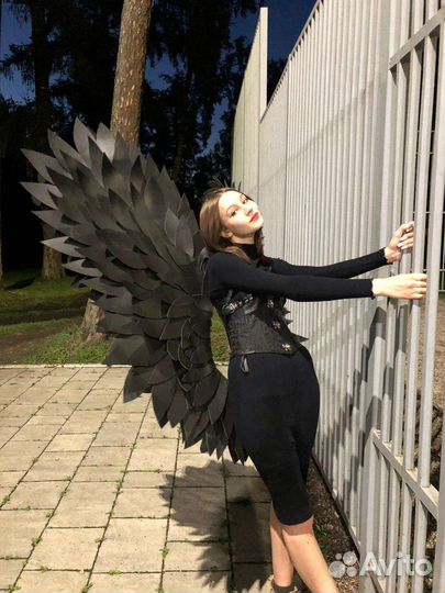 Крылья черные. Прокат