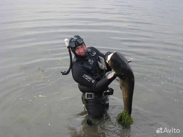 Рыба свежая, свежезамороженная