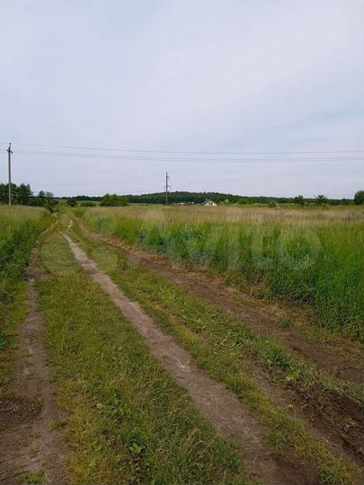 Участок 6 сот. (СНТ, ДНП)