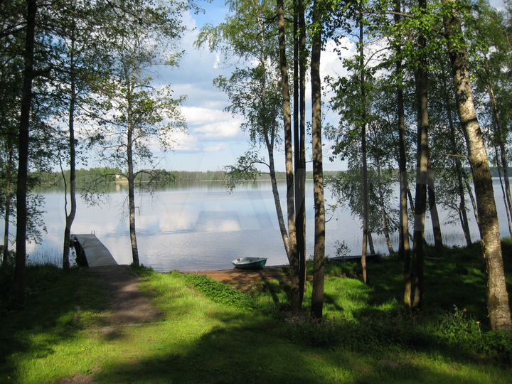 Коттедж 220 м² на участке 80 сот.