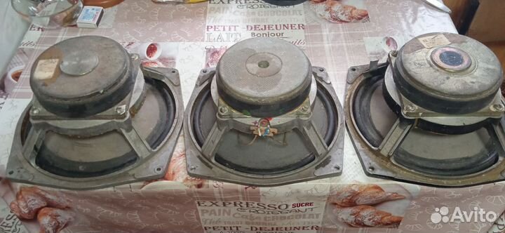 Динамики 75 гдн