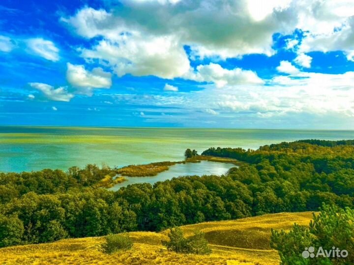 «Куршская коса: природа и человек