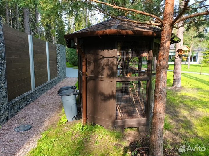 Бельчатник