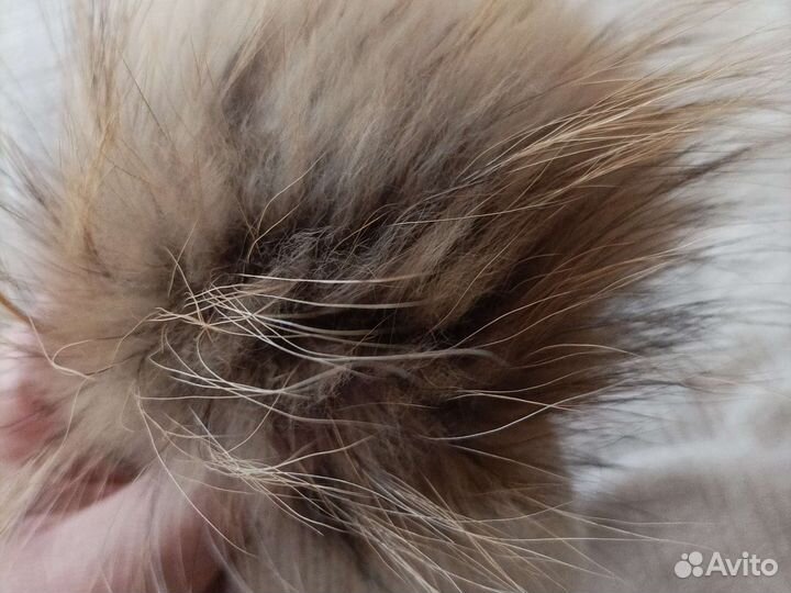 Шапка зимняя для малыша