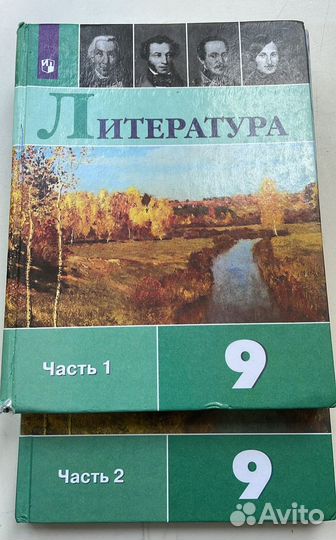 Учебник по литературе 9 класс