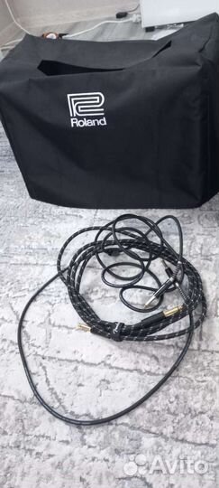 Гитарный комбоусилитель roland