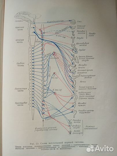 Учебник фармакологии Першин, Гвоздева. 1961 год