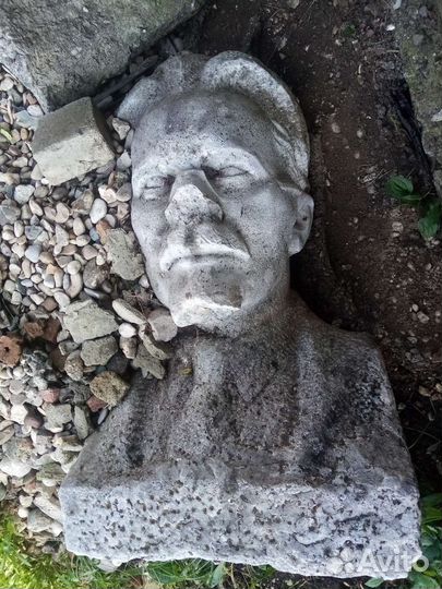 Бюст