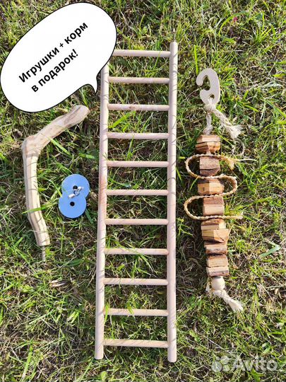 Клетка для средних попугаев + Подарки