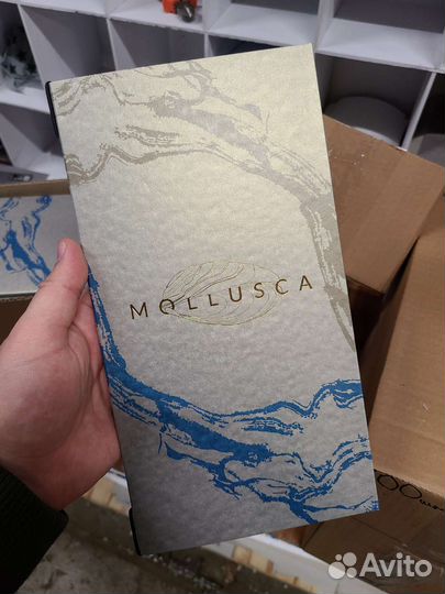 Полиграфия