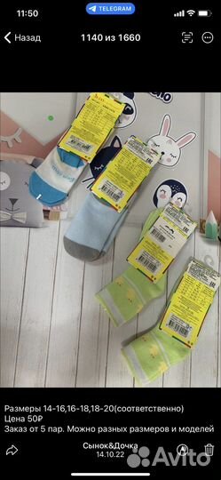Носки и трусы 15