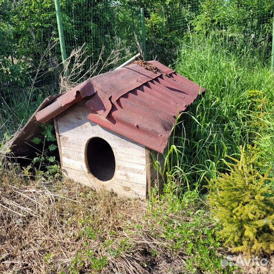 Будка конура дом собаки