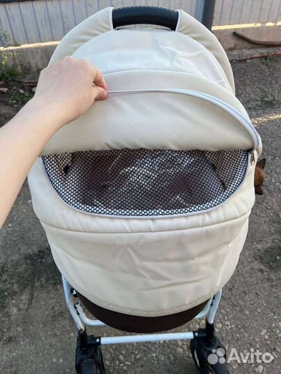 Коляска Riko Modus 2 в 1