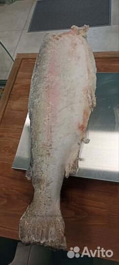 Форель морская (Турция) Стейки форели