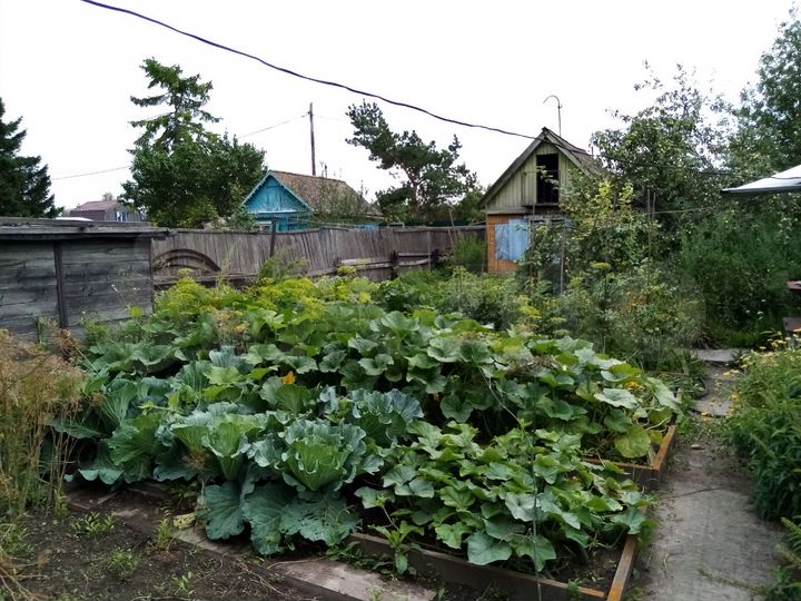 Дача 40 м² на участке 6 сот.