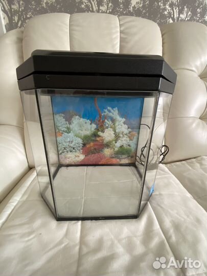 Аквариум