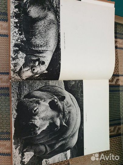 В мире животных Книга