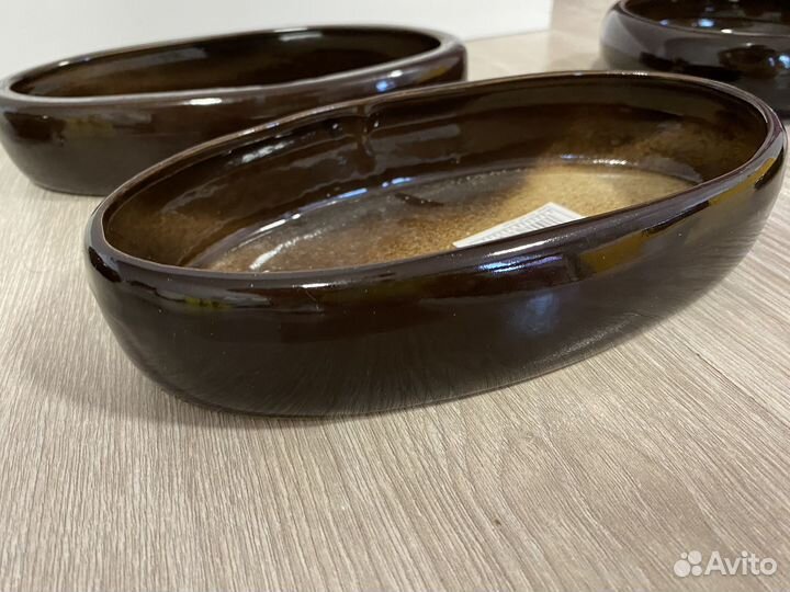 Бонсайницы