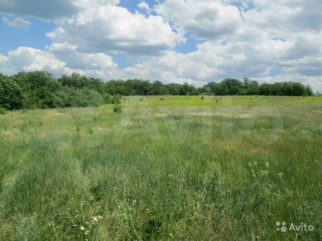 Участок 1,6 га (СНТ, ДНП)