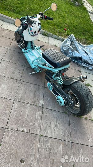 Honda ruckus custom