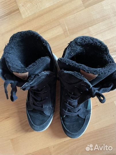 Сагоги ecco36р