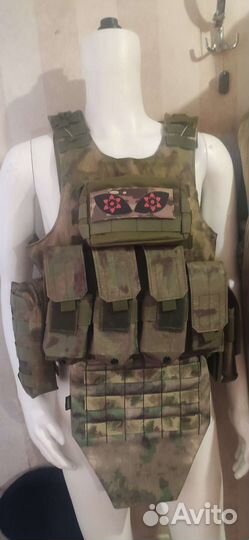 Плитник мох, с плитами