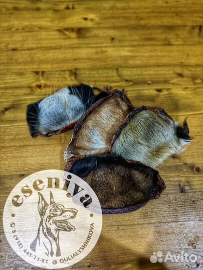 Мясо для собак