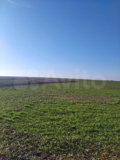 Участок 8,08 га (СНТ, ДНП)