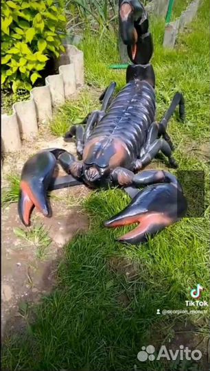 Скорпион из гипса