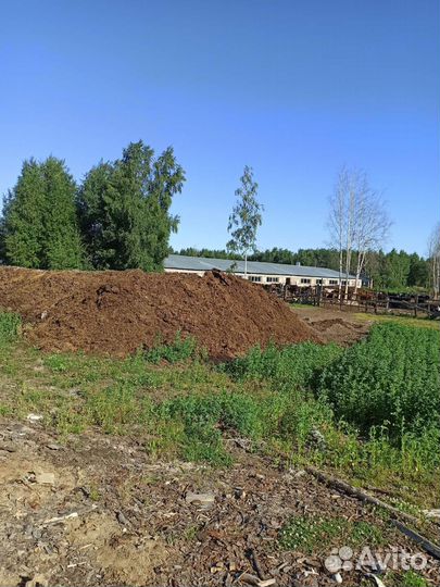 Навоз (Коровий)