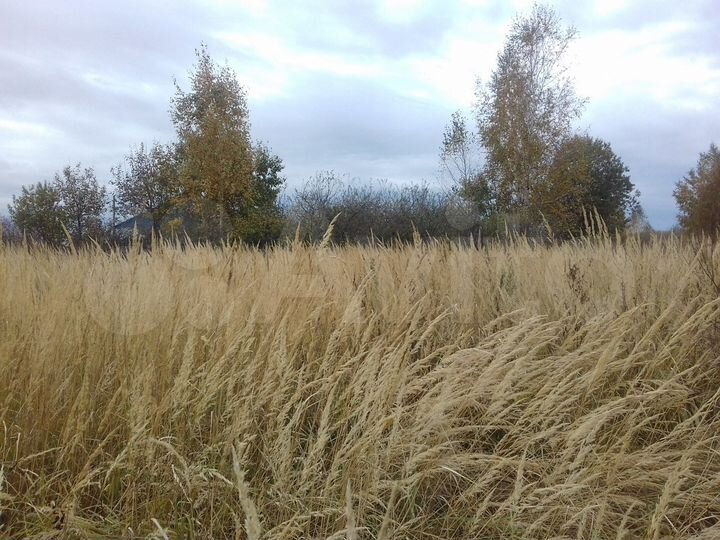 Участок 19 сот. (ИЖС)