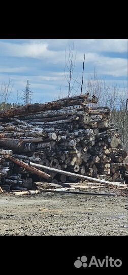 Неделовая древесина