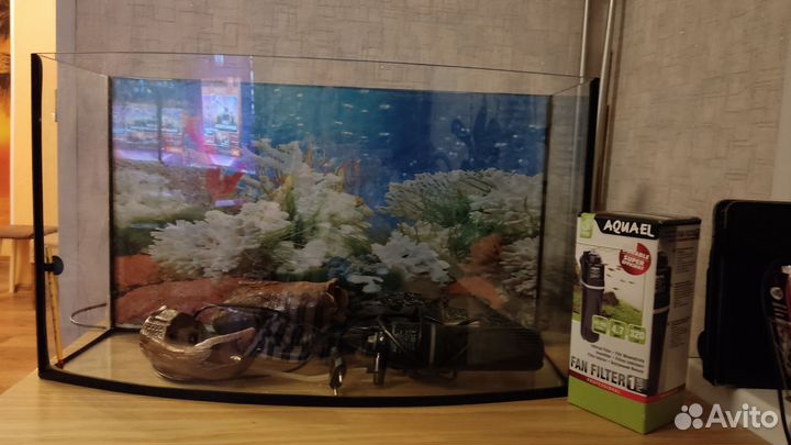 Аквариум