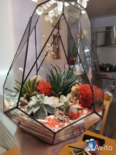 Флорариум сад в стекле 