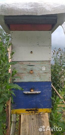 Обучу ремеслу 