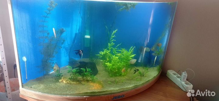 Аквариум Jebo