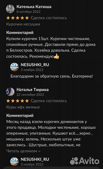 Курочки молодки, несушки