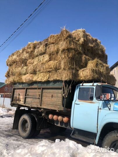 Сено в тюках
